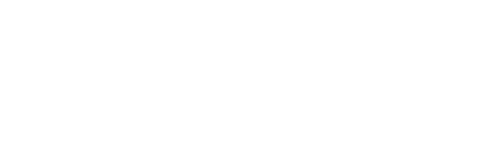 Rozilio Media